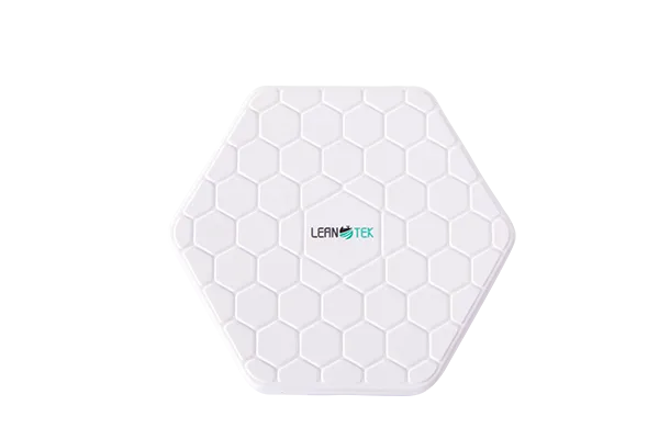 Access Point AW111